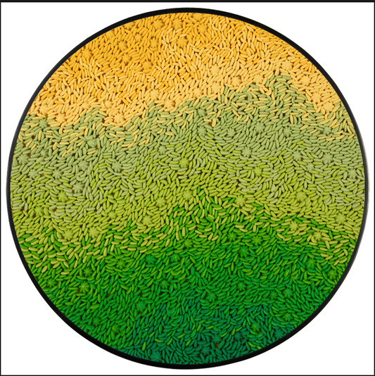 Printed Wall Art – Modern Elegance for Any Space